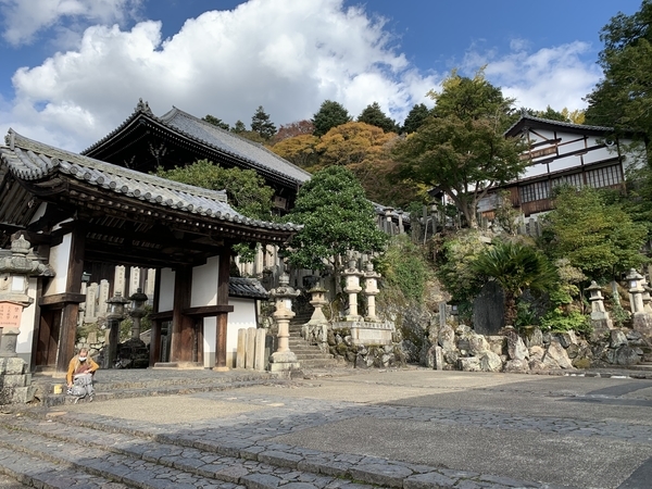 f:id:fuwari-x:20211208122935j:plain