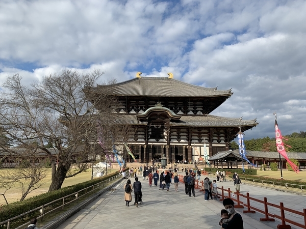 日本美術全集3 東大寺と正倉院 (日本美術全集(全20巻)) | 浅井