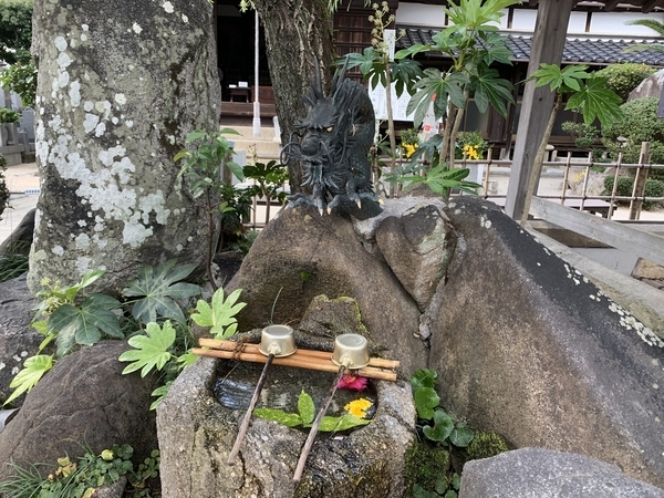 f:id:fuwari-x:20211220112604j:plain
