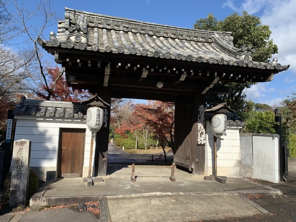 f:id:fuwari-x:20211222153919j:plain