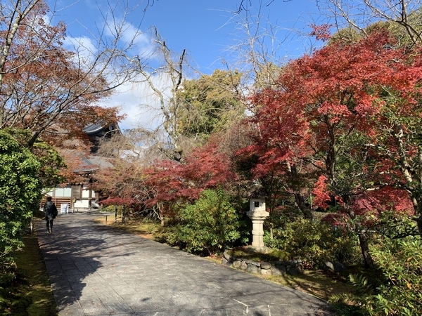 f:id:fuwari-x:20211222153951j:plain