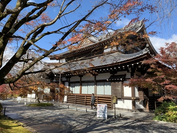 f:id:fuwari-x:20211222154004j:plain