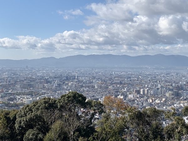 f:id:fuwari-x:20211222154400j:plain