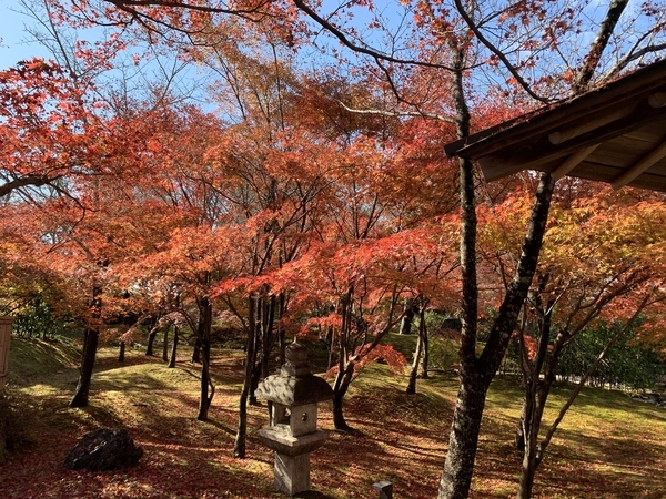 f:id:fuwari-x:20211222154446j:plain