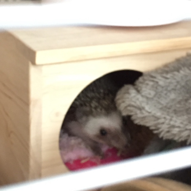 f:id:fuwari010:20150707140214j:image f:id:fuwari010:20150707140214j:image