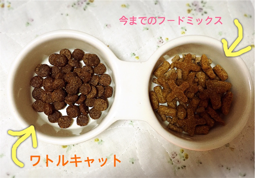 f:id:fuwari010:20170219230710j:image f:id:fuwari010:20170219230710j:image