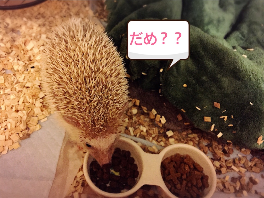 f:id:fuwari010:20170219235846j:image f:id:fuwari010:20170219235846j:image