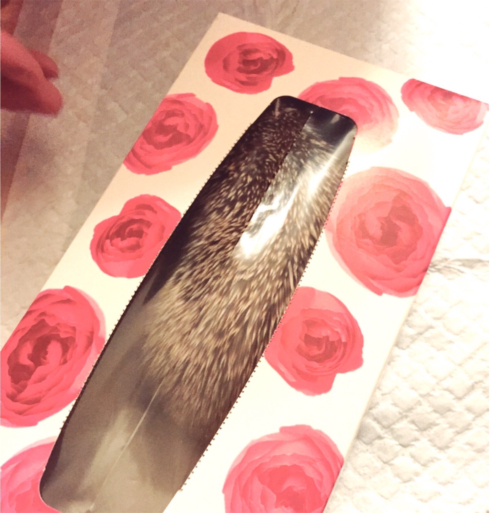 f:id:fuwari010:20170302232501j:image f:id:fuwari010:20170302232501j:image
