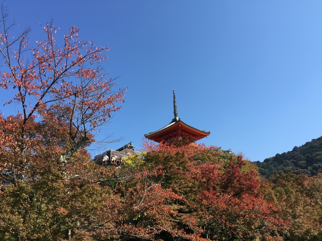 f:id:fuwarimama:20181110133028j:plain