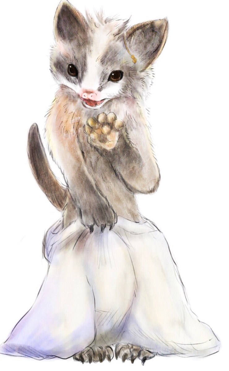 f:id:fuyaho:20190401211508j:plain