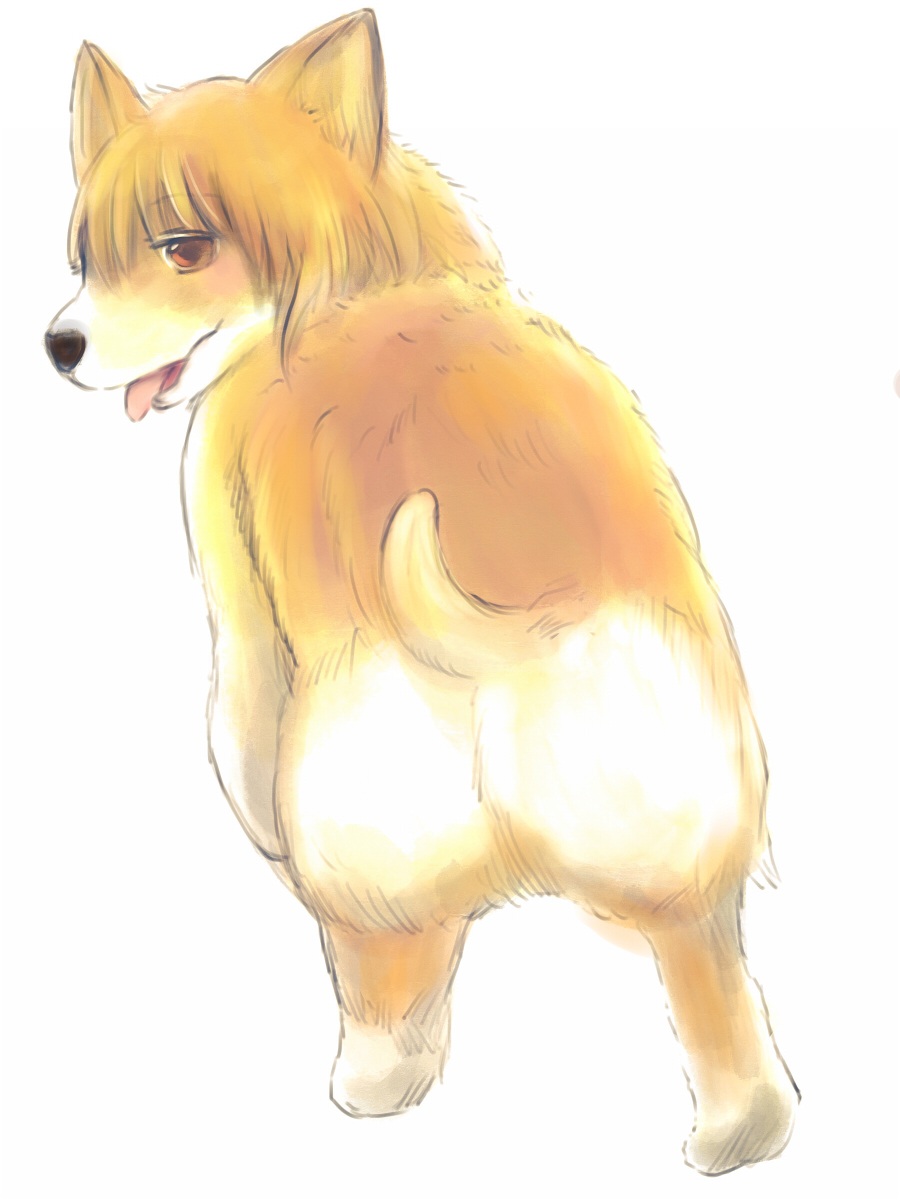 f:id:fuyaho:20191129221602j:plain f:id:fuyaho:20191129221602j:plain