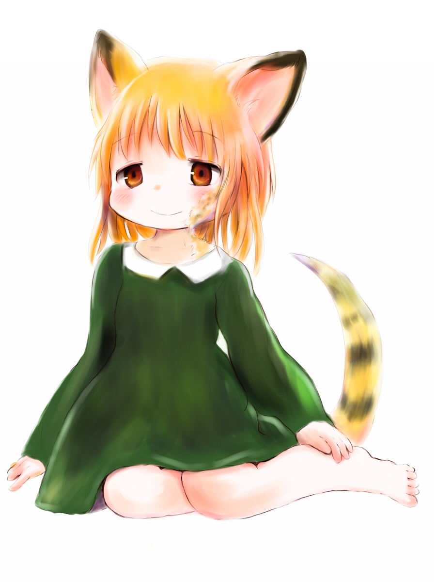 f:id:fuyaho:20191129221613j:plain f:id:fuyaho:20191129221613j:plain