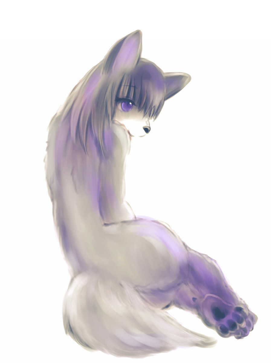 f:id:fuyaho:20191129221641j:plain f:id:fuyaho:20191129221641j:plain