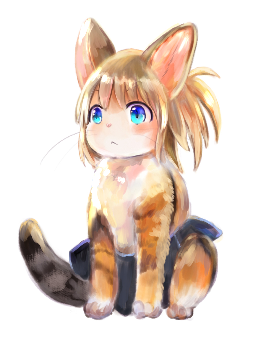 f:id:fuyaho:20200731223108j:plain f:id:fuyaho:20200731223108j:plain