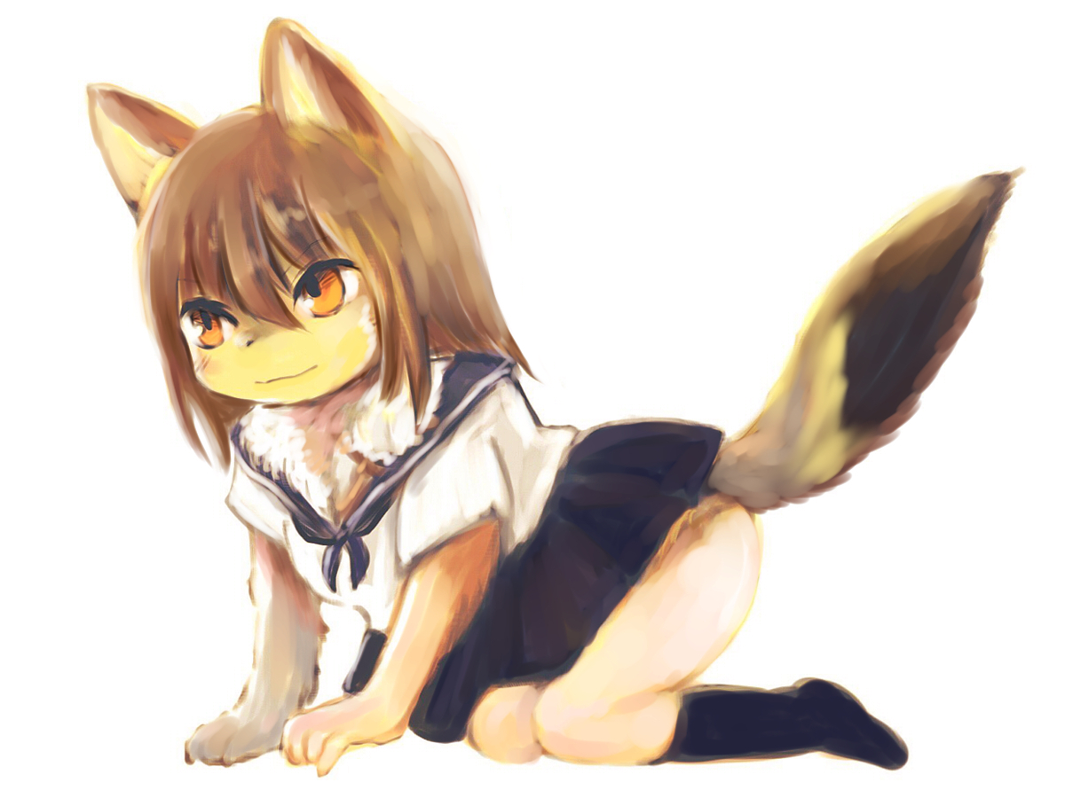 f:id:fuyaho:20200903215140j:plain f:id:fuyaho:20200903215140j:plain