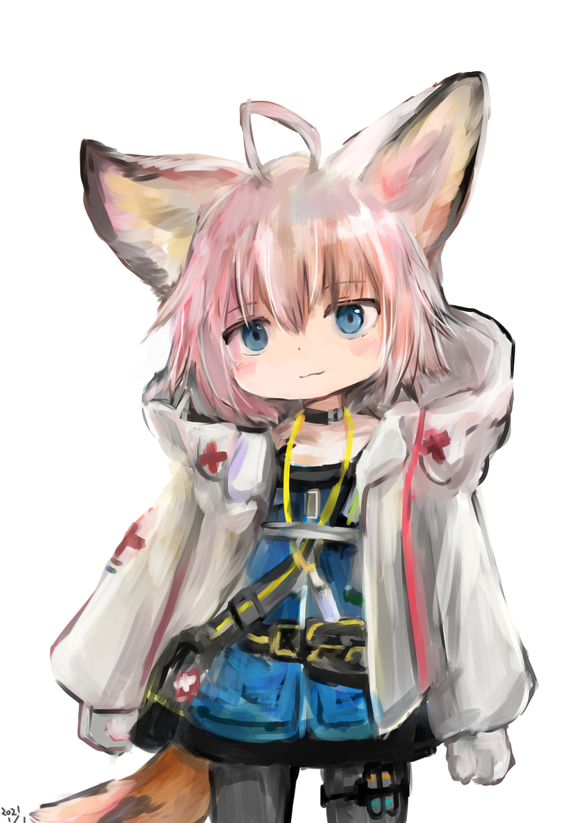 f:id:fuyaho:20210109225243j:plain
