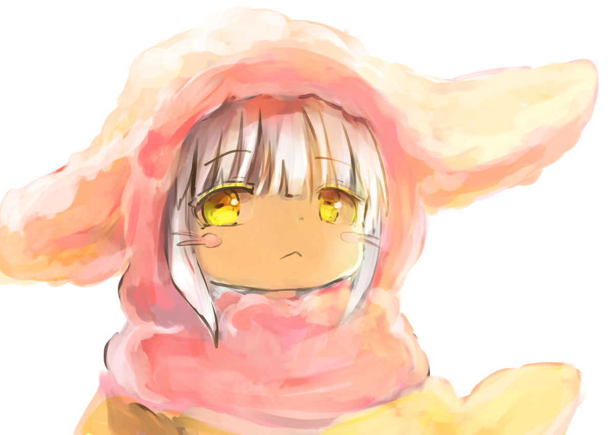 f:id:fuyaho:20210113212226j:plain