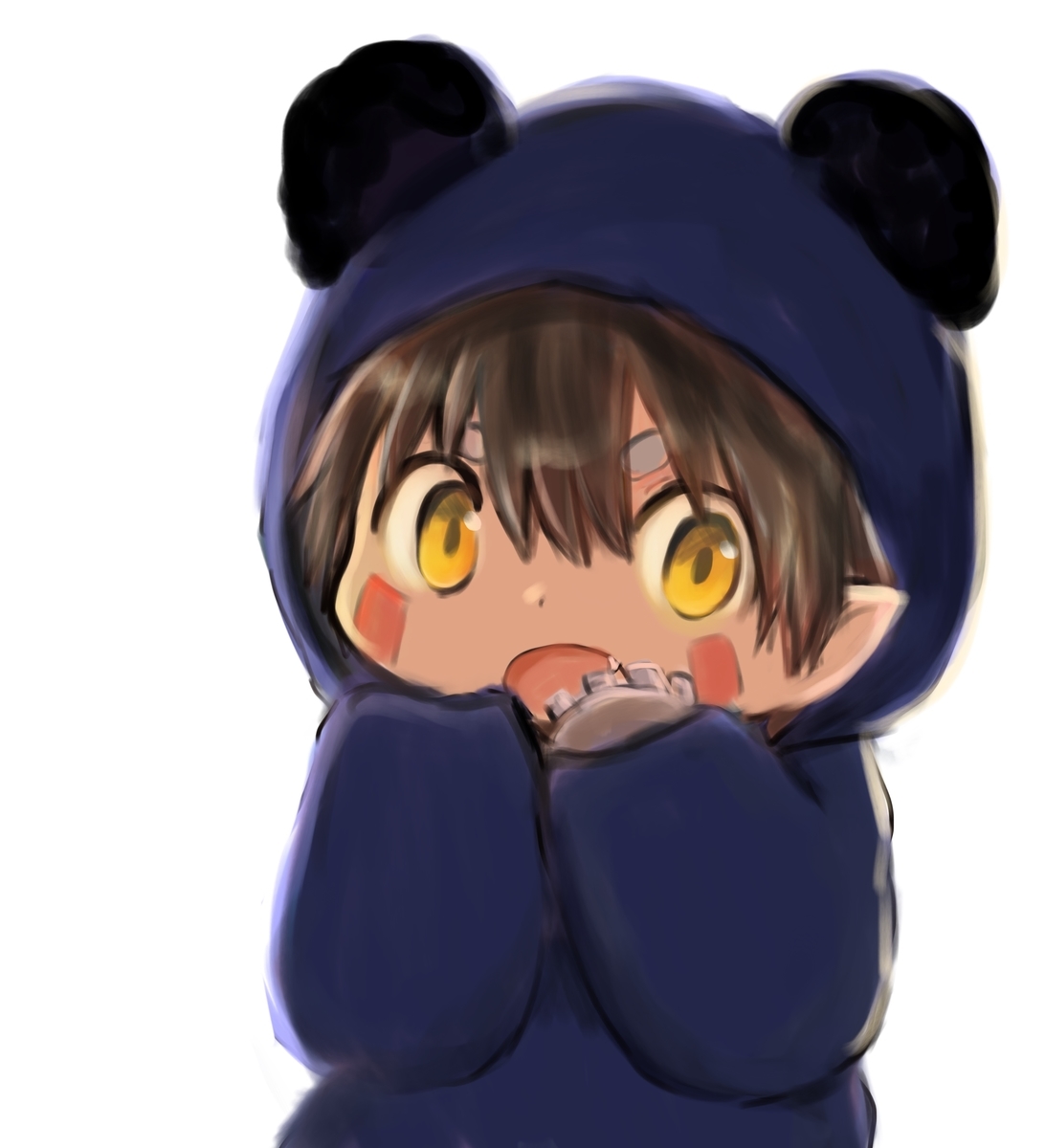 f:id:fuyaho:20210123214738j:plain