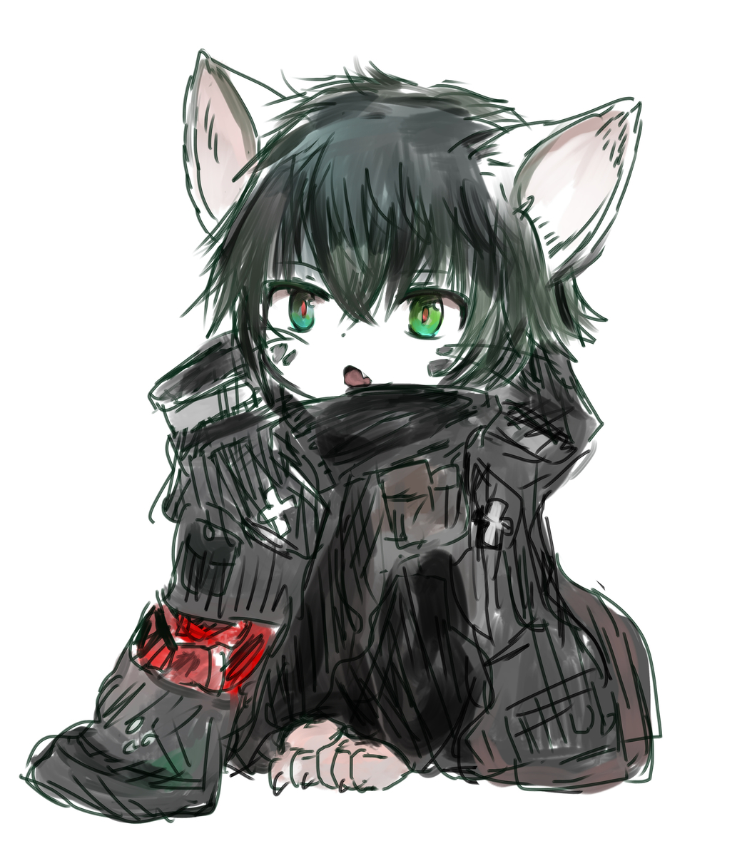 f:id:fuyaho:20210307205923j:plain