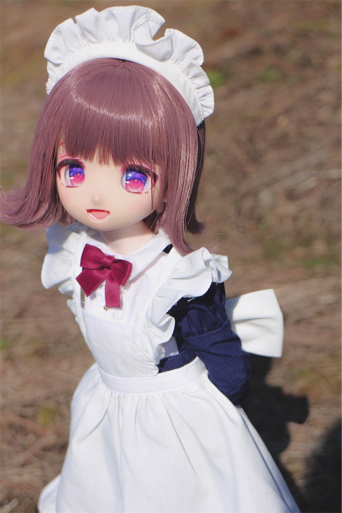 憧れのドールブログとうちの子紹介 - フラムちゃん溺愛日記