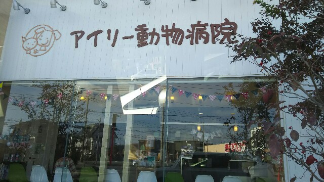 f:id:fuyu_ka:20181129114001j:image f:id:fuyu_ka:20181129114001j:image
