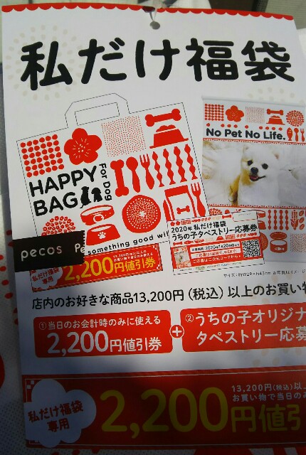f:id:fuyu_ka:20200106182404j:image