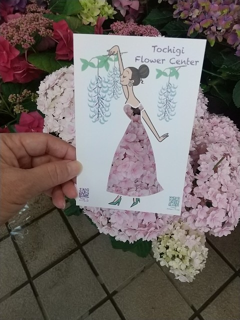 f:id:fuyu_ka:20240511120601j:image
