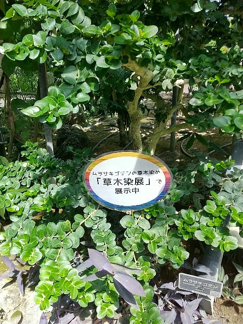 f:id:fuyu_ka:20240918230102j:image