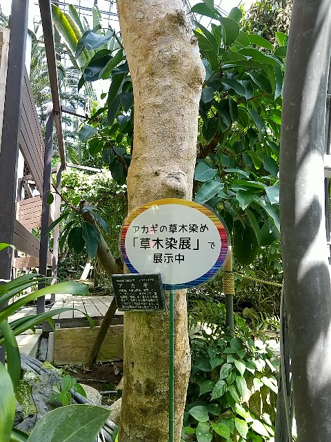 f:id:fuyu_ka:20240918230152j:image