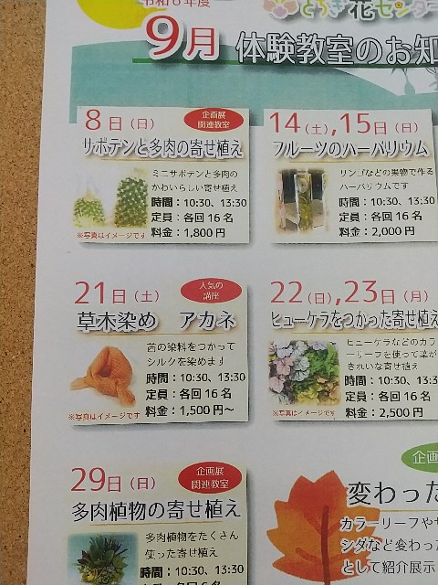 f:id:fuyu_ka:20240918232658j:image