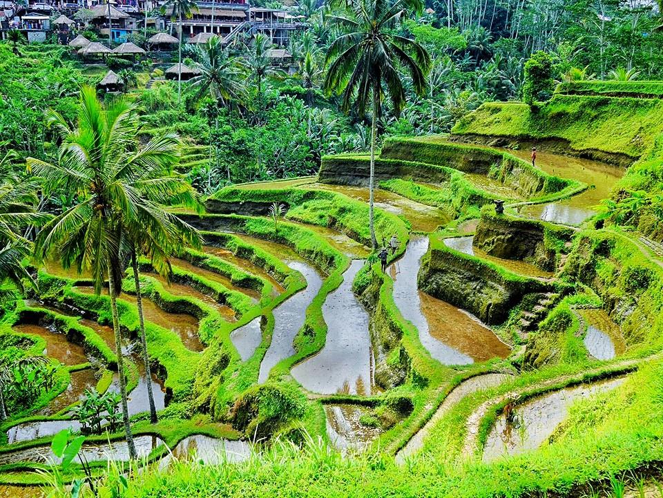 f:id:fuyubossun:20170420133247j:plain