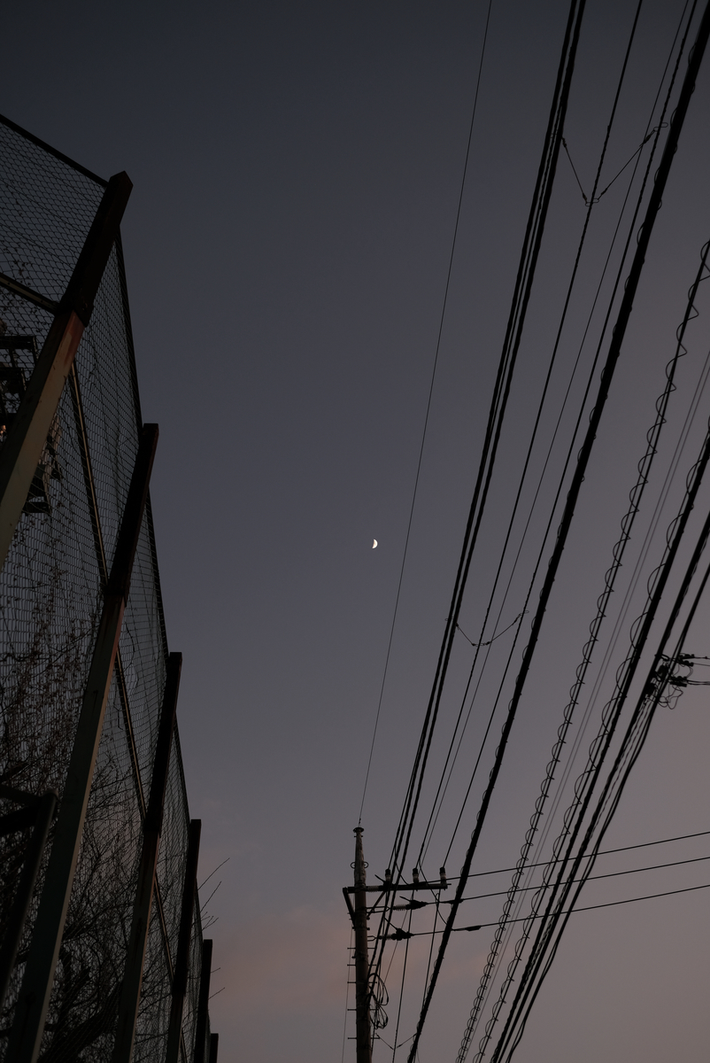 f:id:fuyugumo:20200103050839j:plain