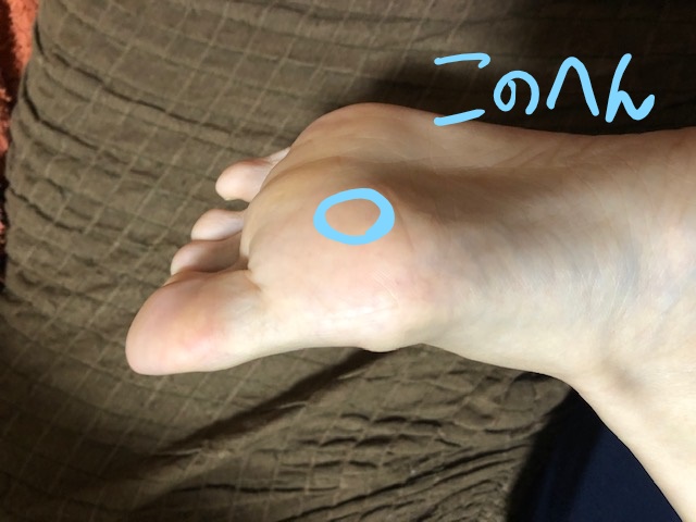 f:id:fuyuko1029:20191218072024j:plain f:id:fuyuko1029:20191218072024j:plain