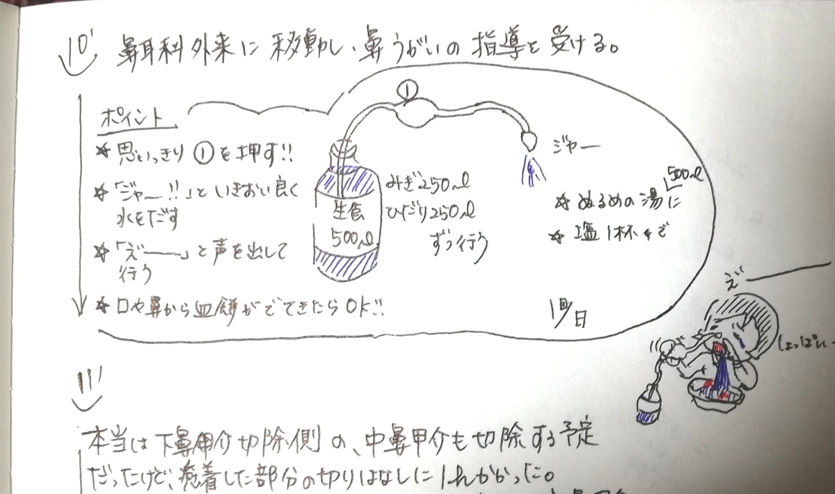 f:id:fuyumiope:20200502131006j:plain