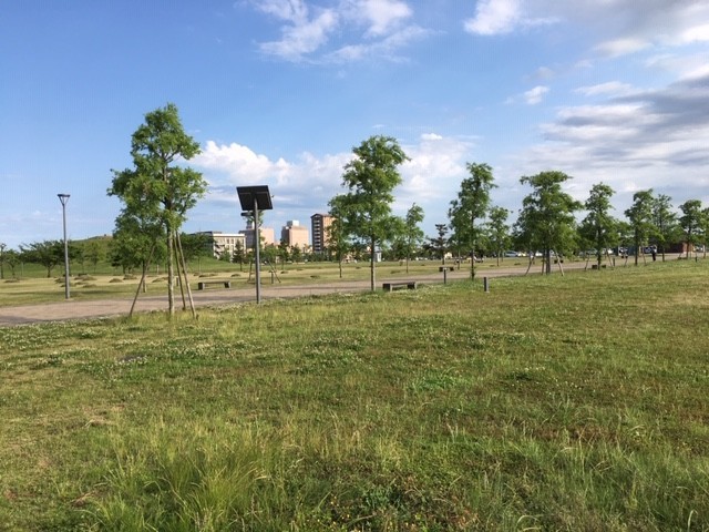 f:id:fuyunokakashi:20200528162643j:plain f:id:fuyunokakashi:20200528162643j:plain