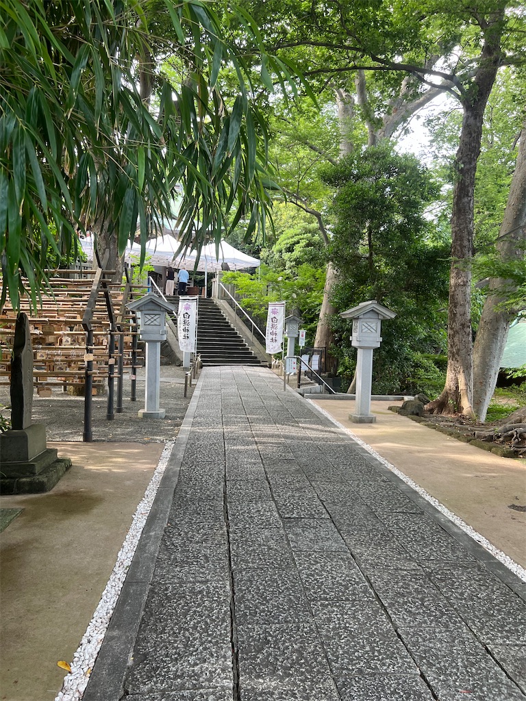 f:id:fuziasa:20250719202537j:image