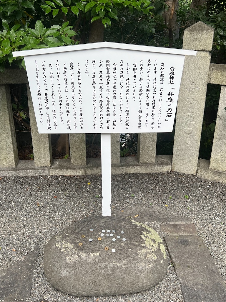 f:id:fuziasa:20250719203034j:image