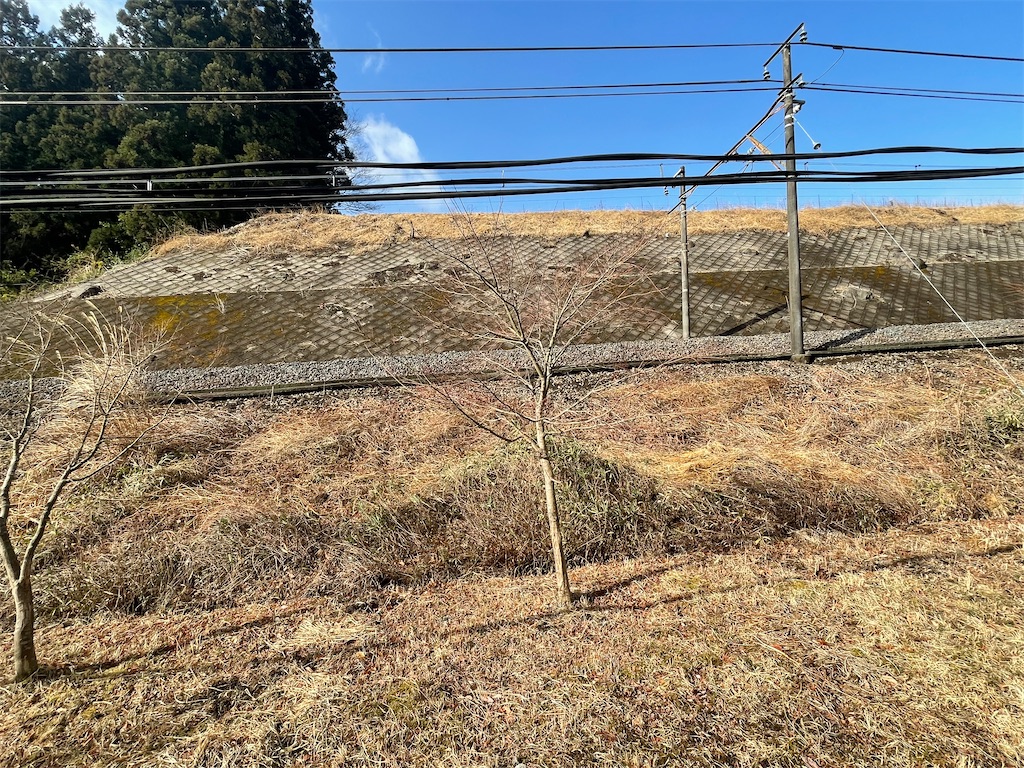 f:id:fuzigensoutetudou:20220320190622j:image