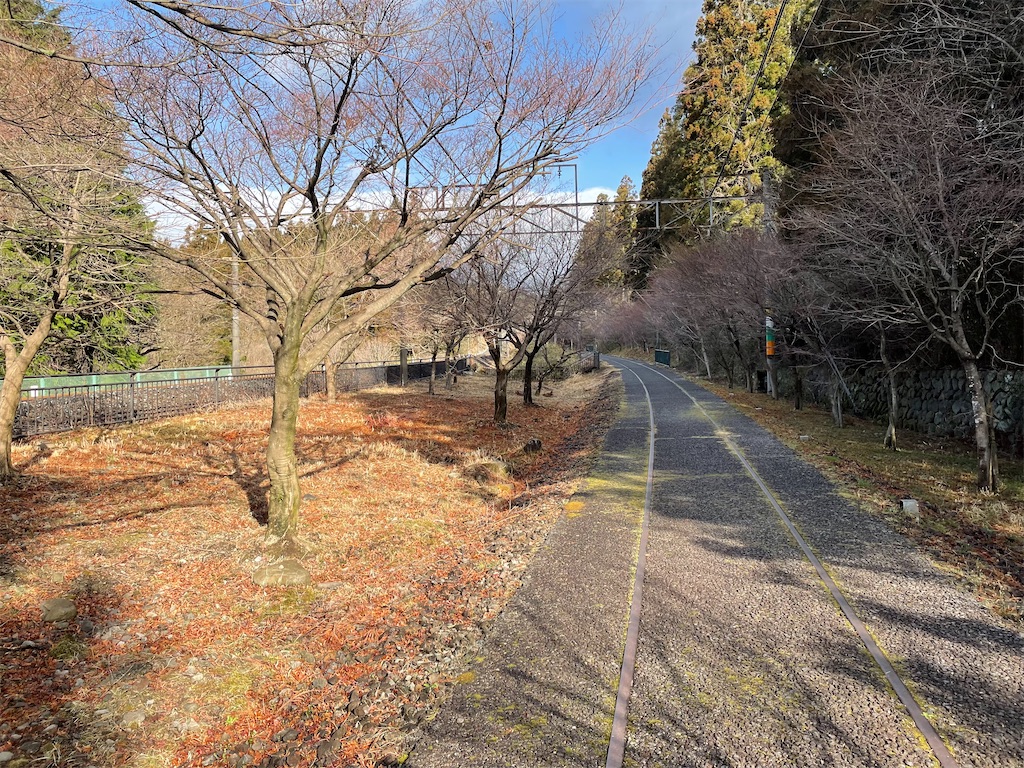 f:id:fuzigensoutetudou:20220320190710j:image