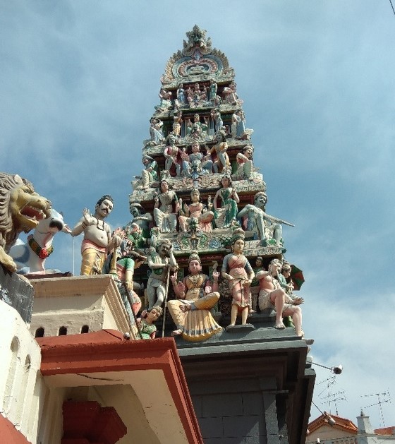 f:id:fuzikoblog:20190317092652j:plain f:id:fuzikoblog:20190317092652j:plain