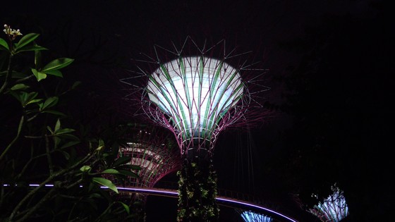 f:id:fuzikoblog:20190317093752j:plain f:id:fuzikoblog:20190317093752j:plain