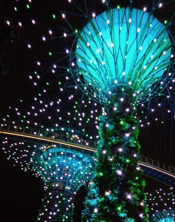 f:id:fuzikoblog:20190317093822j:plain f:id:fuzikoblog:20190317093822j:plain