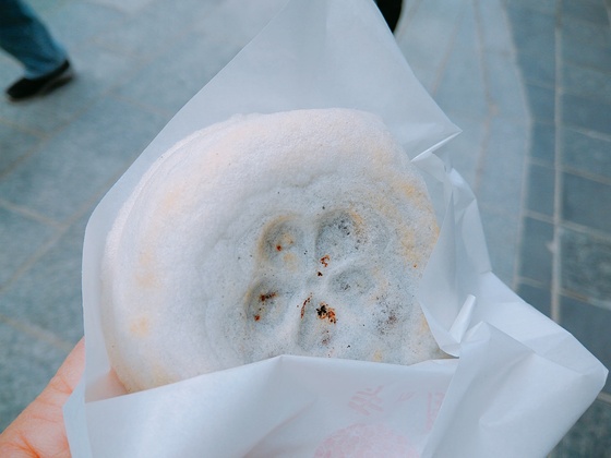 f:id:fuzikoblog:20190318172114j:plain