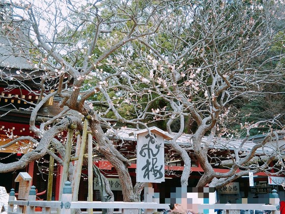 f:id:fuzikoblog:20190318172742j:plain