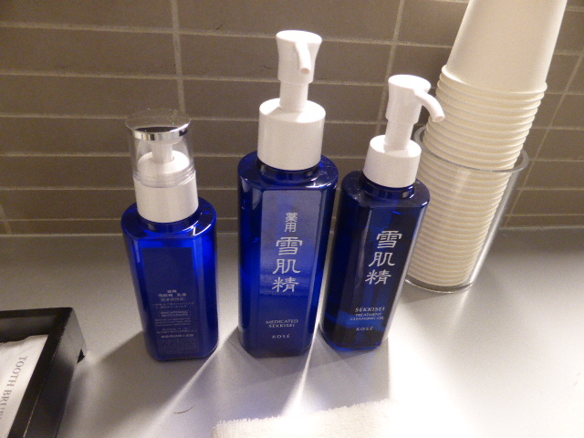 f:id:fuzikoblog:20190416173413j:plain