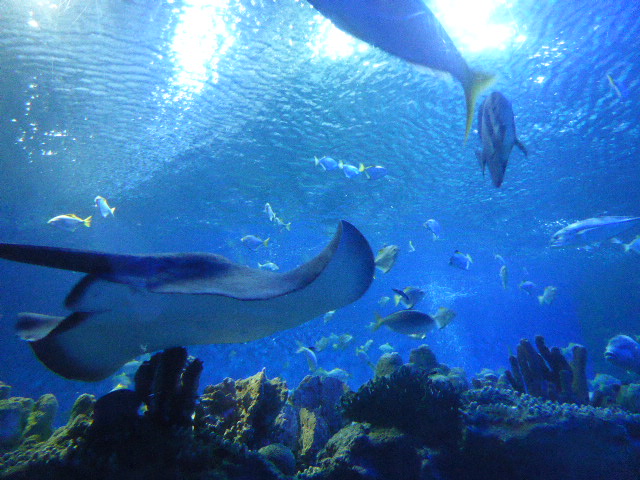 f:id:fuzikoblog:20190425100853j:plain