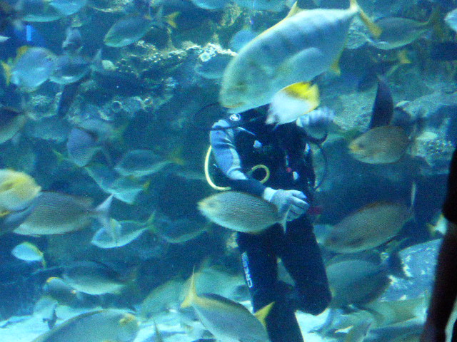 f:id:fuzikoblog:20190425101038j:plain