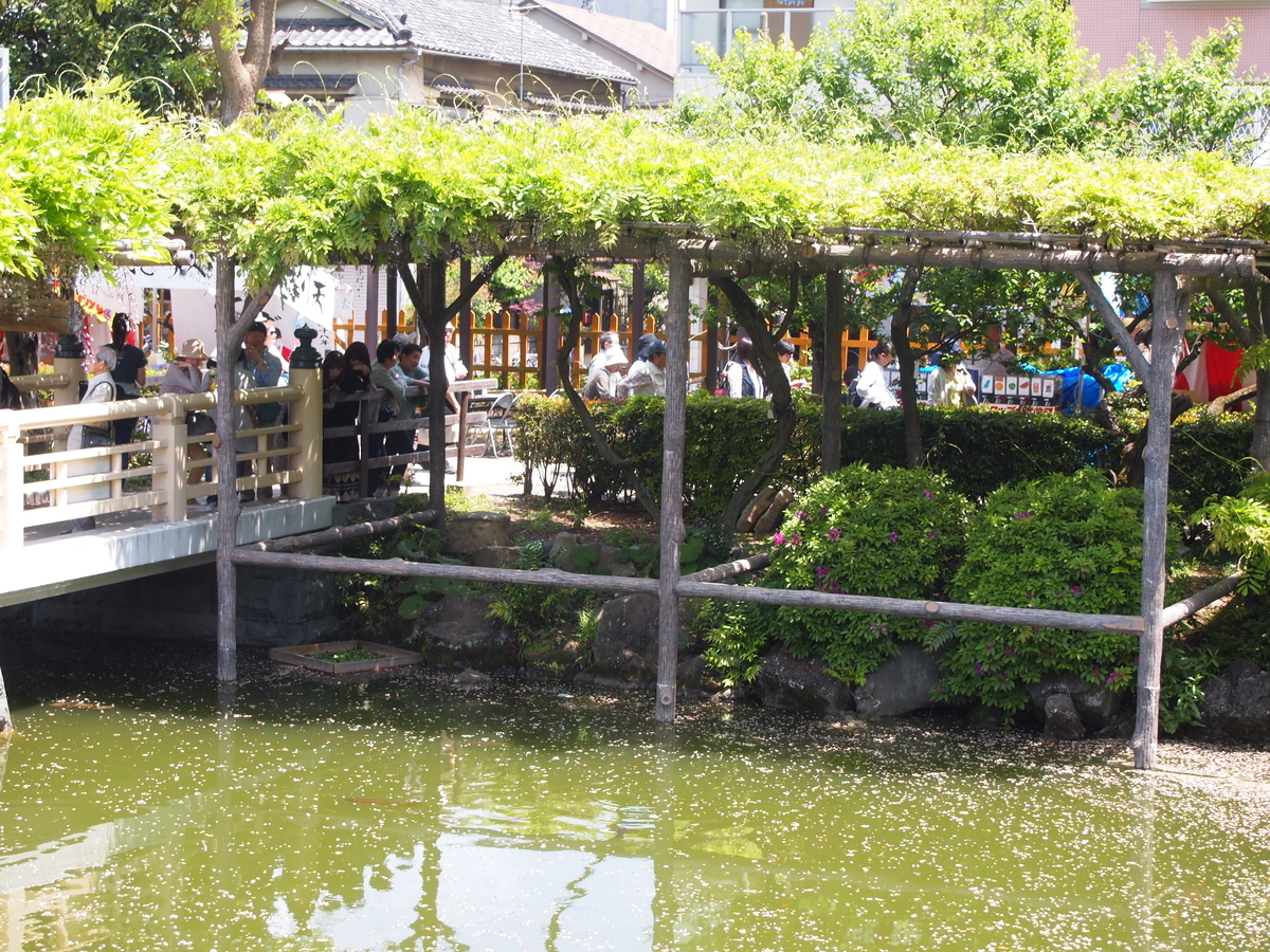 f:id:fuzikoblog:20190509154004j:plain