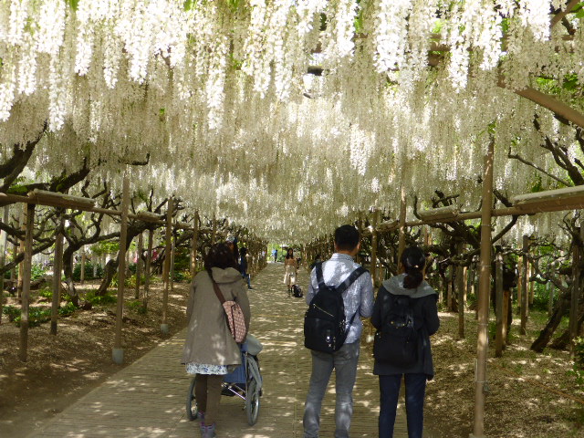 f:id:fuzikoblog:20190509154713j:plain