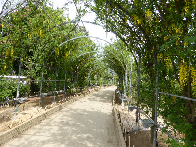 f:id:fuzikoblog:20190509155934j:plain